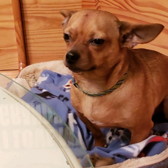 Make an Offer!!! - Picture 1 of 4